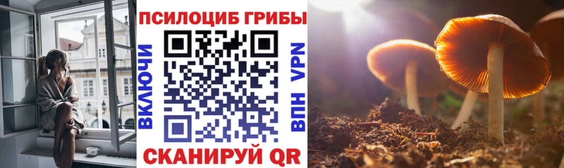 Галлюциногенные грибы Magic Shrooms  omg как зайти  Фокино 